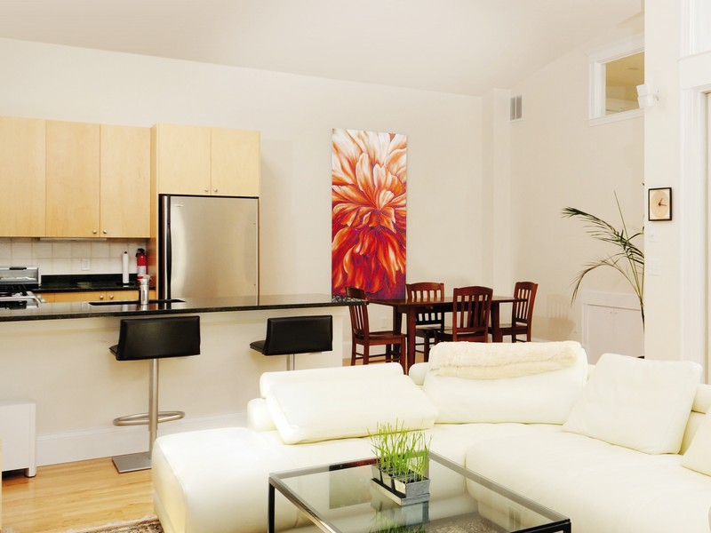 Living room illuminated naturally by sunlight transmitted through a tubular sun tunnel in Tampa FL